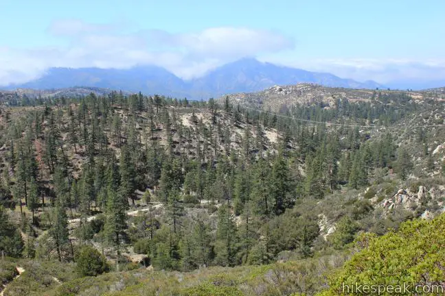 Silver Moccasin Trail