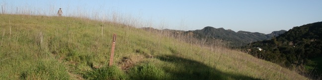 Hondo Canyon Topanga Hike Santa Monica Mountains Trail Los Angeles California Hiking Backbone Trail