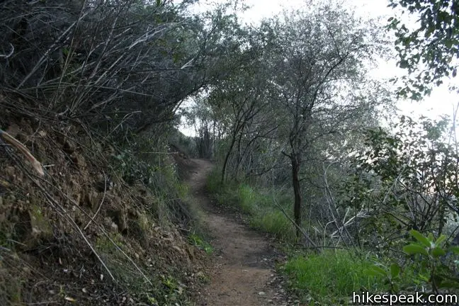 Hondo Canyon Trail