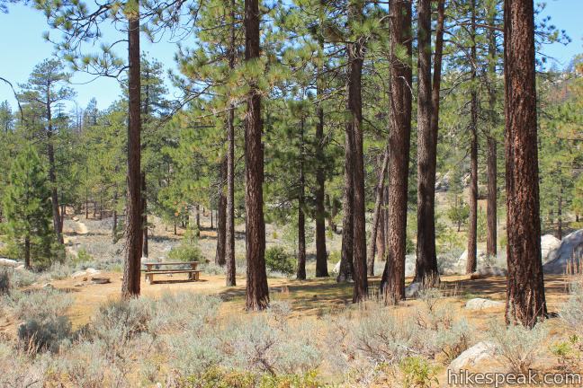 Horse Flats Campground