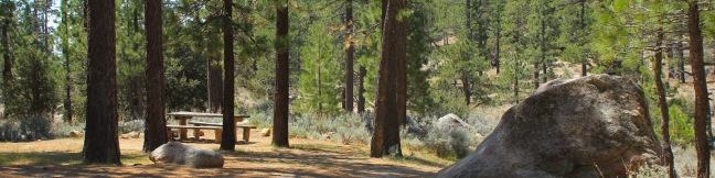 Horse Flats Campground Los Angeles Camp San Gabriel Mountains Angeles National Forest California tent camping