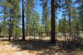 Horse Flats Campground