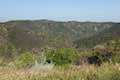 Temescal Ridge Trail