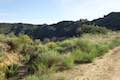 Temescal Ridge Trail