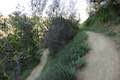 Bent Arrow Trail