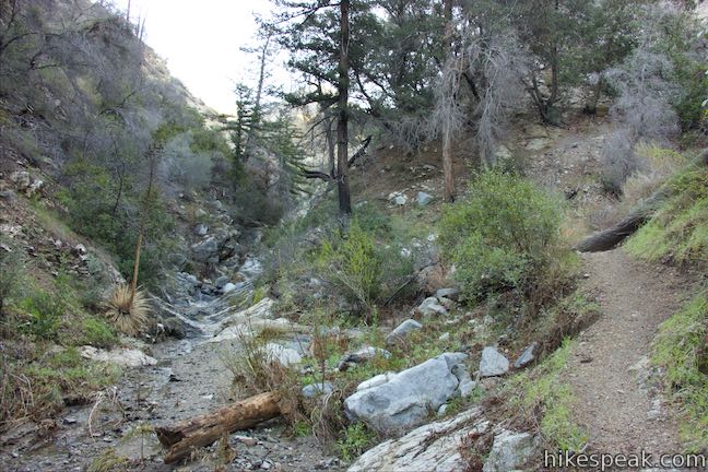 Colby Canyon Trail