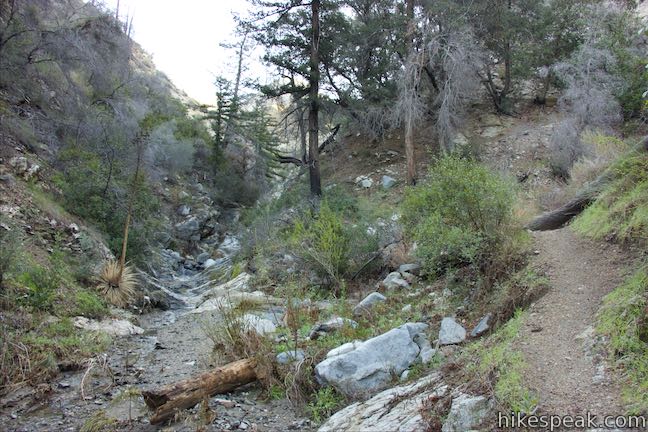 Colby Canyon Trail