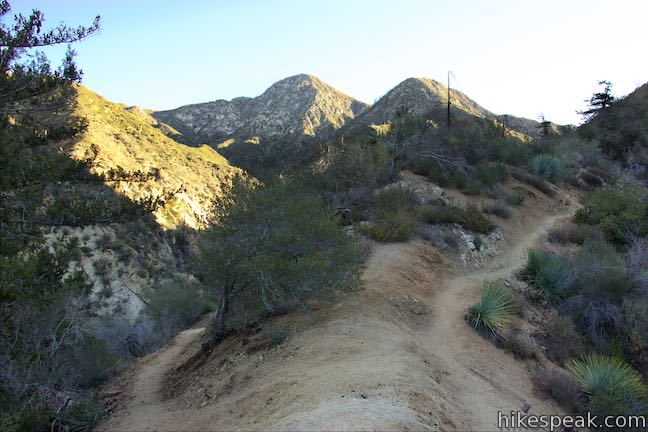 Colby Canyon Trail