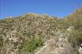 Colby Canyon Trail Josephine Saddle