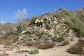 Colby Canyon Trail Josephine Saddle