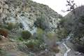 Colby Canyon Trail Creek