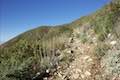 Colby Canyon Trail