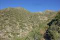 Josephine Saddle Colby Canyon Trail