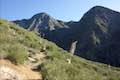 Strawberry Peak Colby Canyon Trail