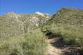 Colby Canyon Trail San Gabriel Mountains