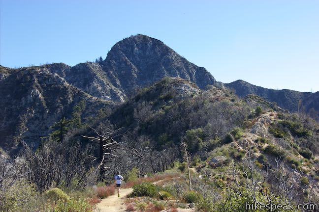 Josephine Saddle Strawberry Peak