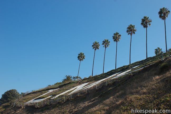 LMU white letters