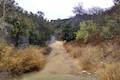 Hollywood Reservoir Single-Track