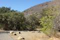 Leo Carrillo State Park Camping