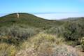 Ridgeline Trail Nicholas Flat Natural Preserve