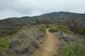 Nicholas Flat Trail Leo Carrillo State Park
