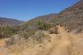 Nicholas Flat Trail Leo Carrillo State Park