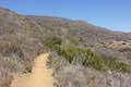 Willow Creek Trail Leo Carrillo State Park