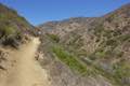 Willow Creek Trail Leo Carrillo State Park