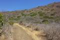 Nicholas Flat Trail Leo Carrillo State Park