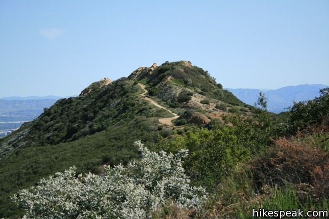 Topanga Lookout Hike