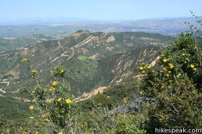 Topanga Lookout Hike