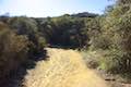 Oak Creek Canyon Loop Trail
