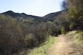 Oak Canyon Loop Trail Los Robles Open Space