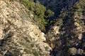 Millard Canyon Sunset Ridge Trail