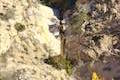 Millard Canyon Sunset Ridge Trail