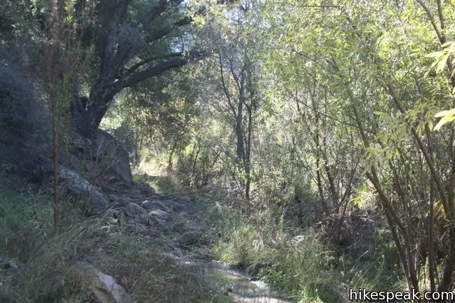 Malibu Creek Crags Road