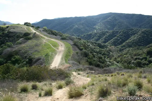 Canyonback Ridge Trail