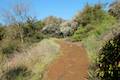 Backbone Trail Piuma Trailhead