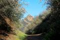 Backbone Trail Piuma Trailhead