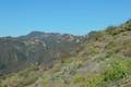 Backbone Trail Mesa Peak Motorway