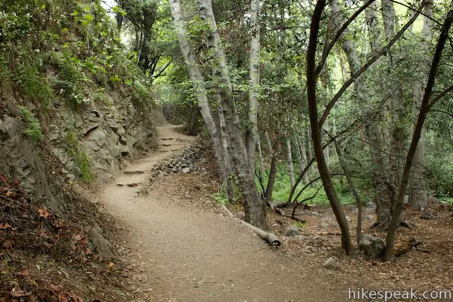 Falls Trail in Monrovia Canyon Park