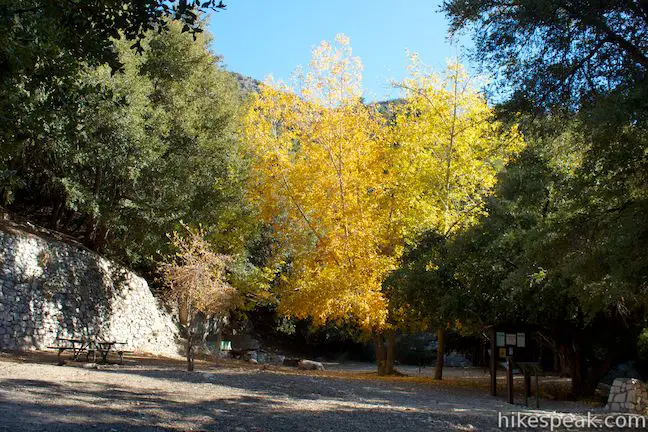 Mount Lowe Trail Camp