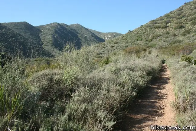 La Jolla Canyon Trail