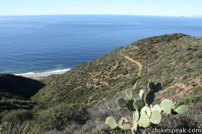 Los Angeles Ocean View Hikes