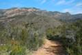 Malibu Springs Trail