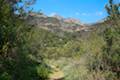 Malibu Springs Trail