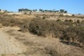 White Point Nature Preserve