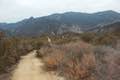Phantom Trail Goat Buttes View