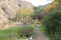 Placerita Canyon Trail