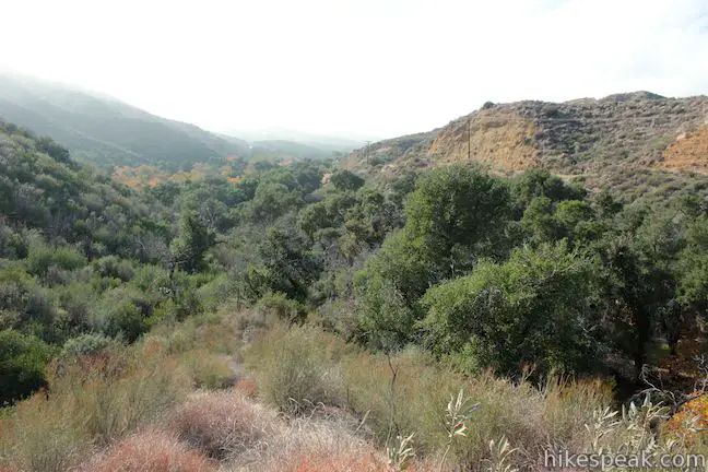 Placerita Canyon Ecology Trail